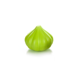 Plastic Food Container Garlic Shaped